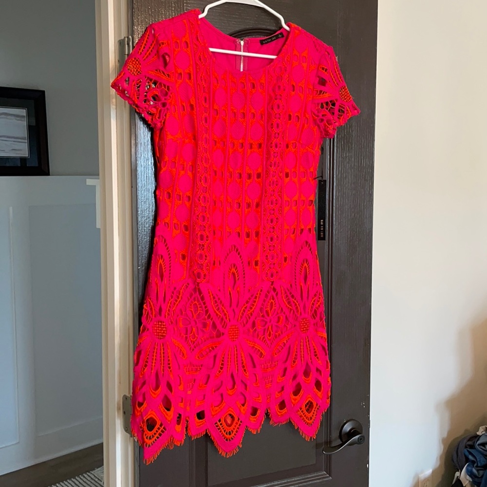 NWT-Mad for Love size Large (fits sizes 6-10)